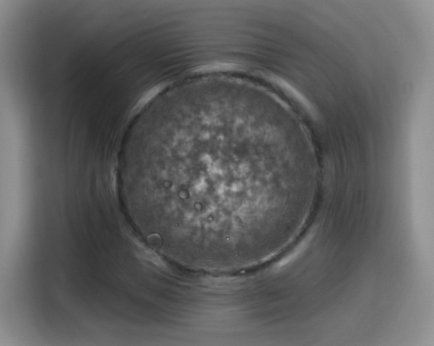 X0000115360921200911101153