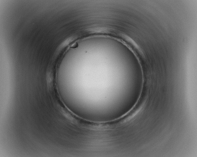X0000115360922200911101153