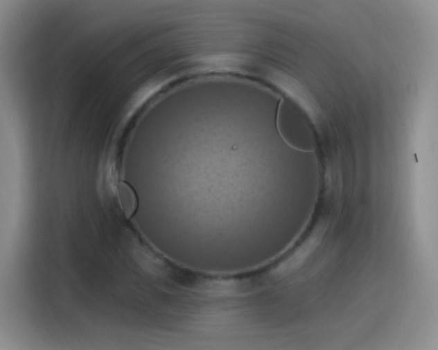 X0000115360925200911101153