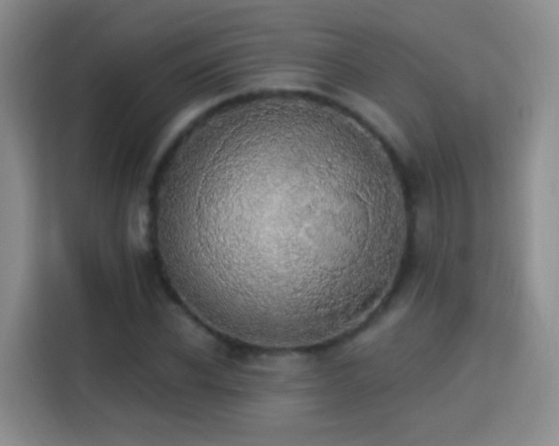 X0000115360926200911101153