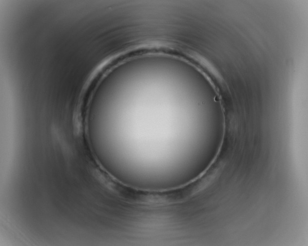 X0000115360927200911101153