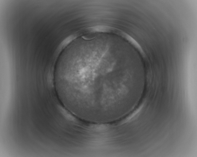 X0000115360930200911101153