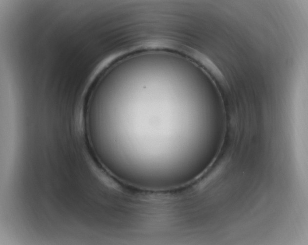 X0000115360934200911101153
