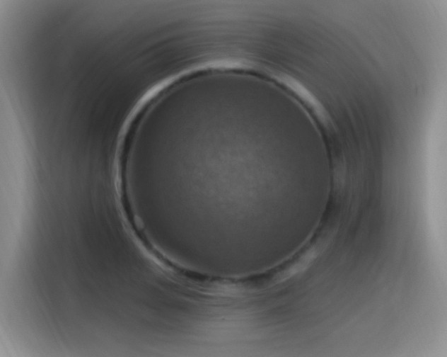 X0000115360935200911101153