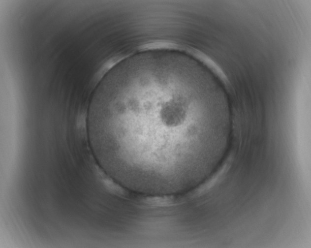 X0000115360937200911101153