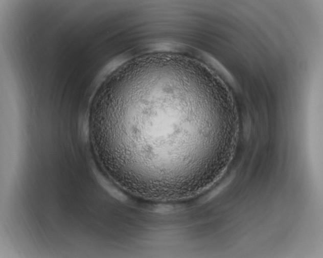 X0000115360938200911101153