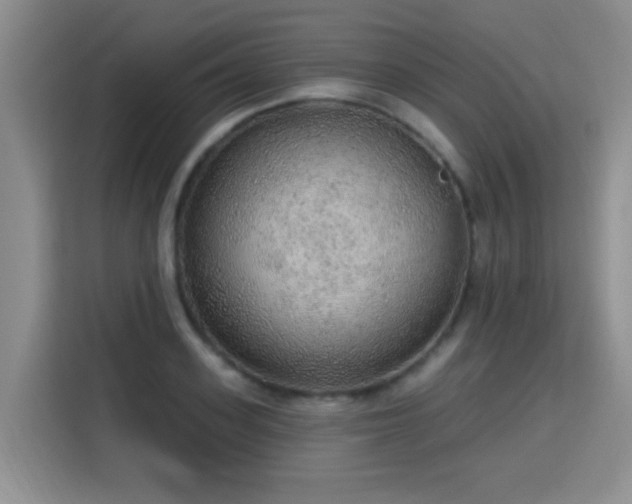 X0000115360939200911101153