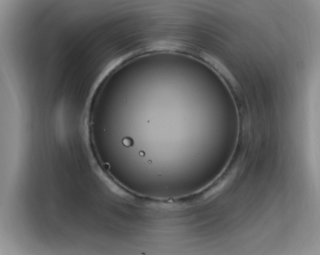 X0000115360941200911101153
