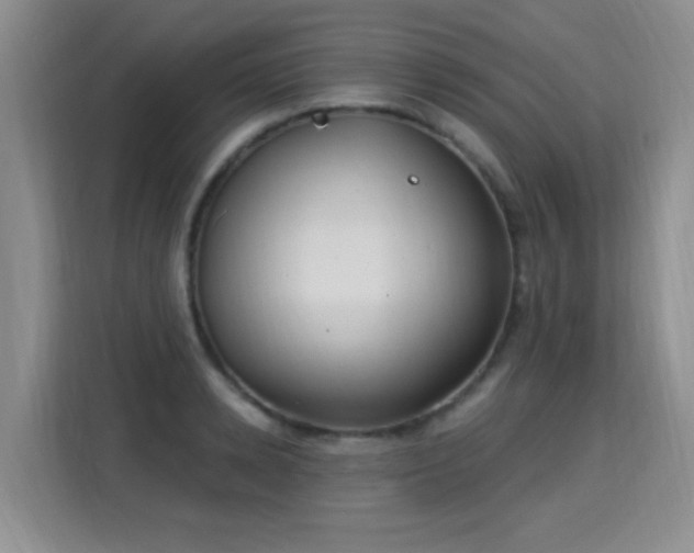 X0000115360942200911101153