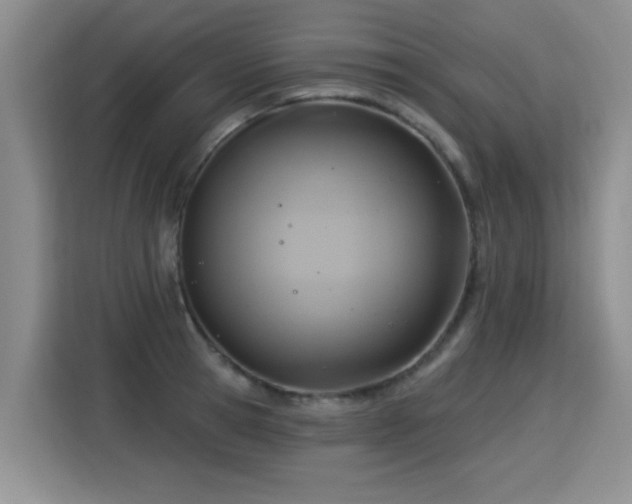 X0000115360945200911101153
