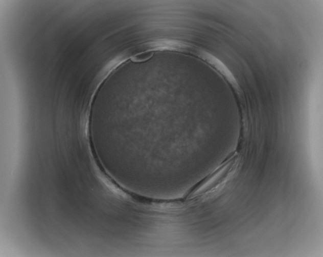 X0000115360946200911101153