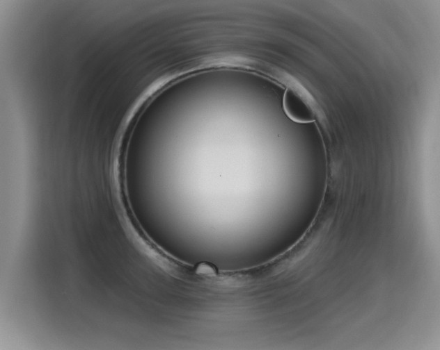 X0000115360947200911101153