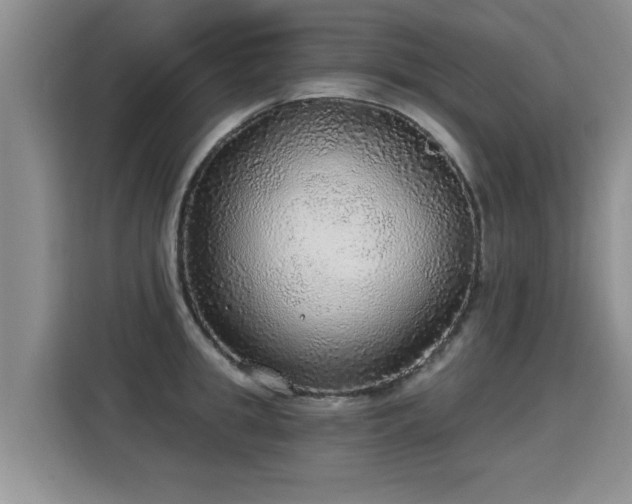 X0000115360949200911101153