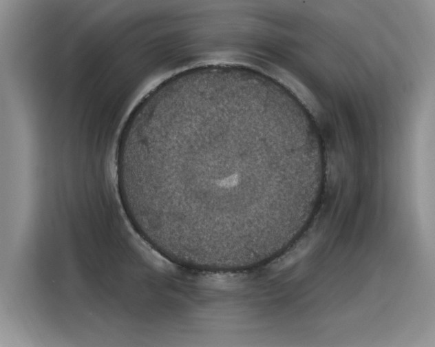 X0000115360950200911101153