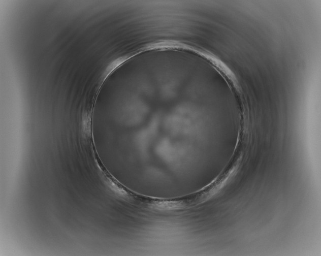 X0000115360953200911101154