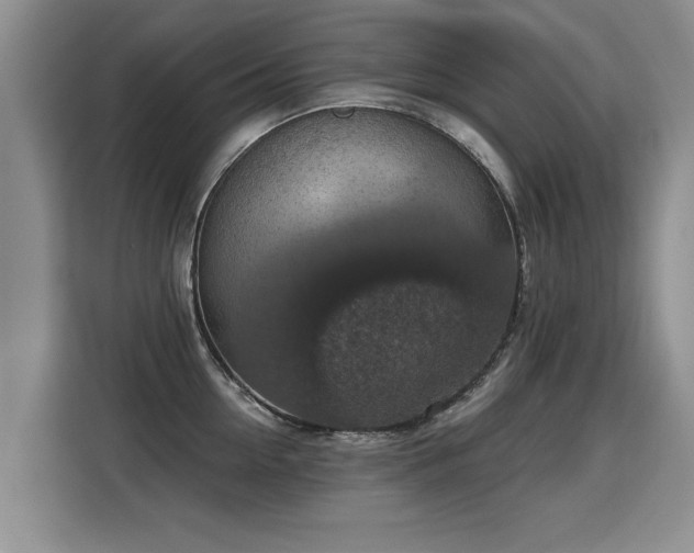 X0000115360954200911101154