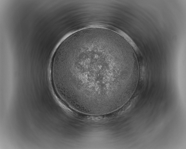 X0000115360955200911101154
