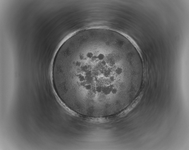X0000115360957200911101154