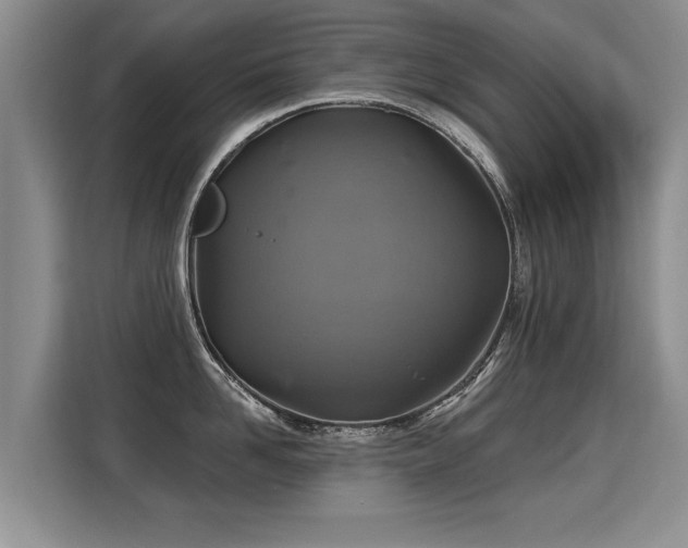 X0000115360958200911101154