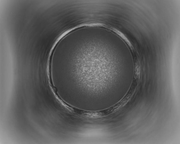X0000115360959200911101154