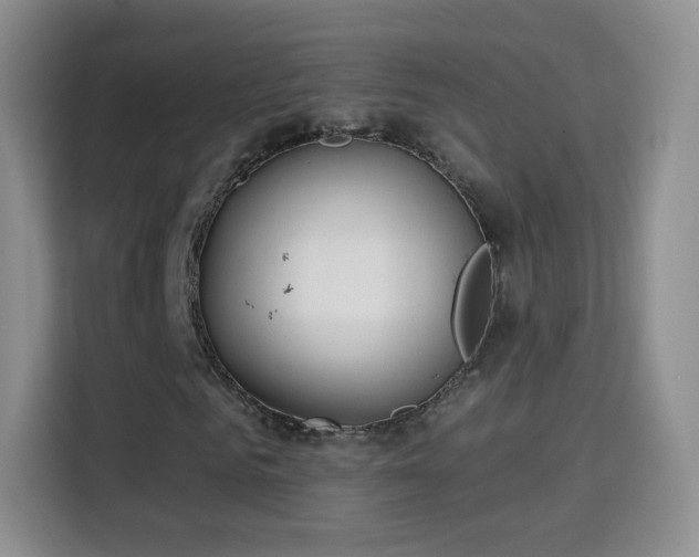 X0000115360961200911101153