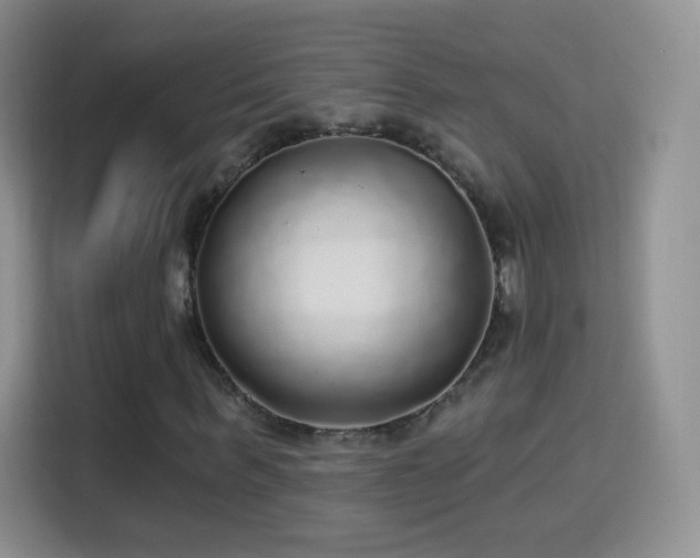 X0000115360963200911101153