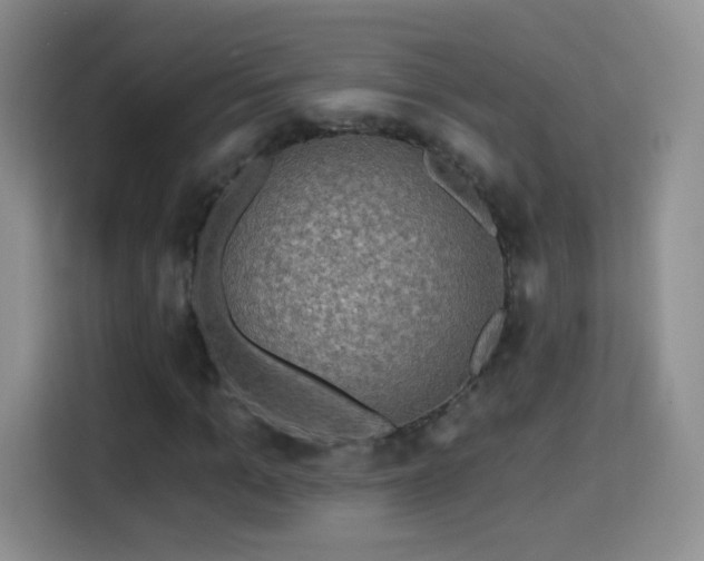 X0000115360965200911101153