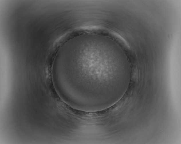 X0000115360966200911101153
