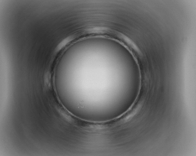 X0000115360970200911101153