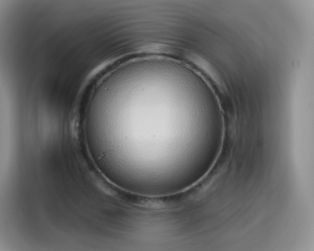 X0000115360971200911101153