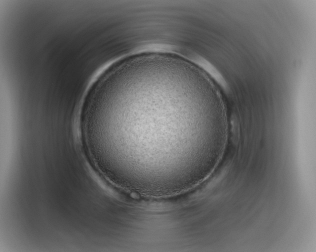 X0000115360972200911101153