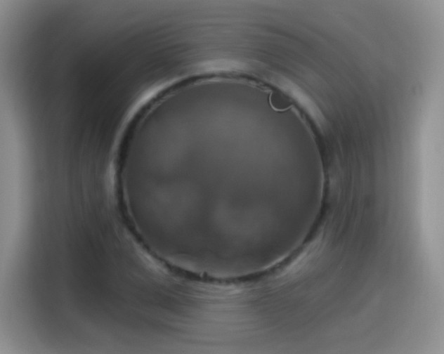X0000115360975200911101153