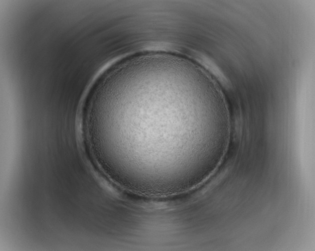 X0000115360976200911101153