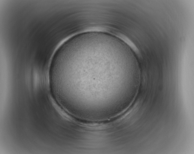 X0000115360980200911101153