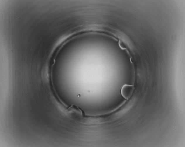 X0000115360981200911101153