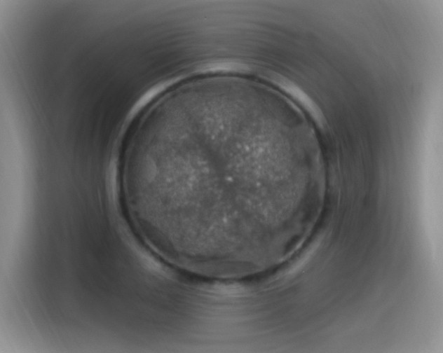X0000115360983200911101153