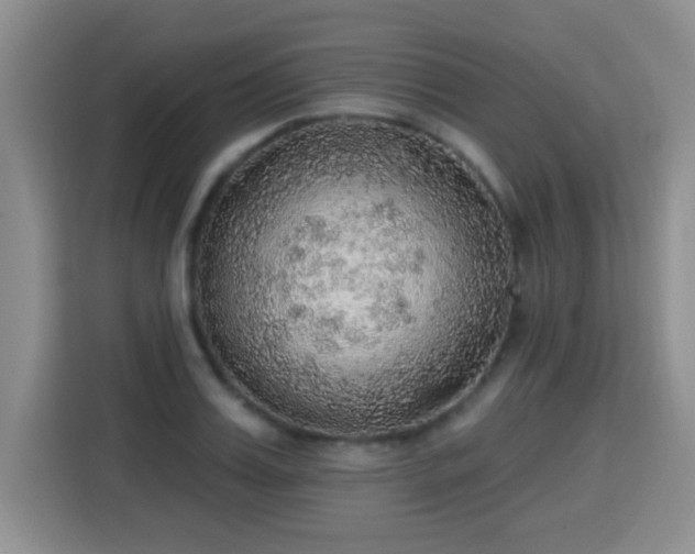 X0000115360987200911101153