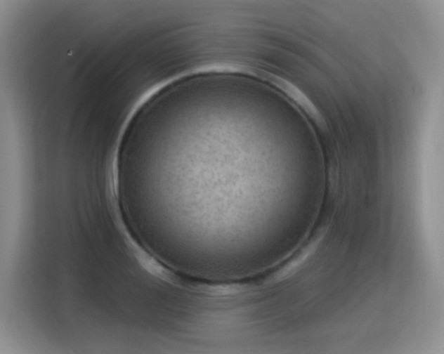 X0000115360988200911101153