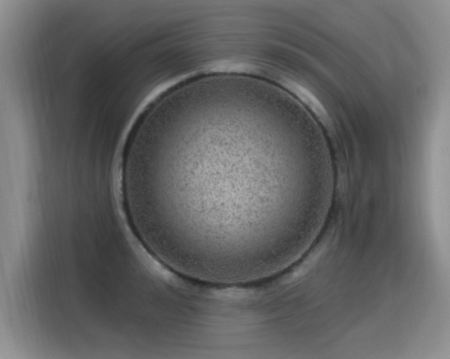 X0000115360992200911101153