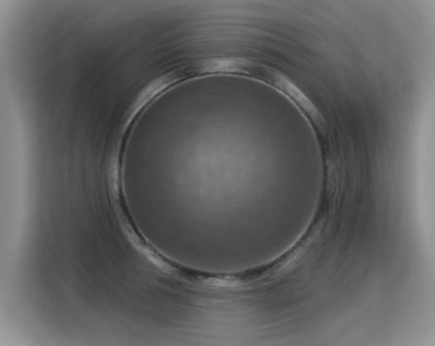 X0000115360994200911101153