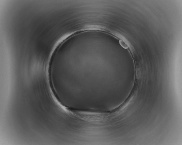 X0000115360995200911101153