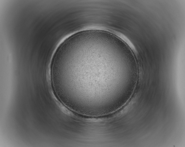 X0000115360996200911101153