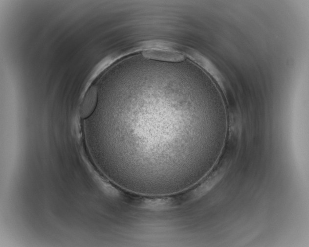X0000115360997200911101153