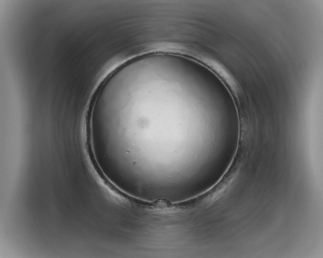 X0000115360999200911101153