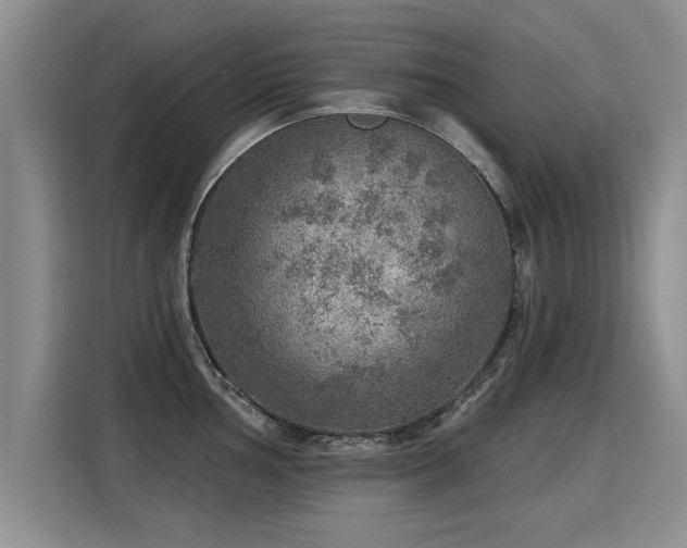 X0000115361002200911101152