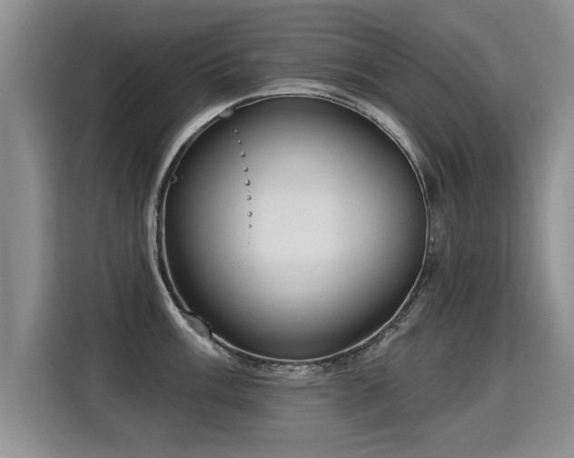 X0000115361003200911101152