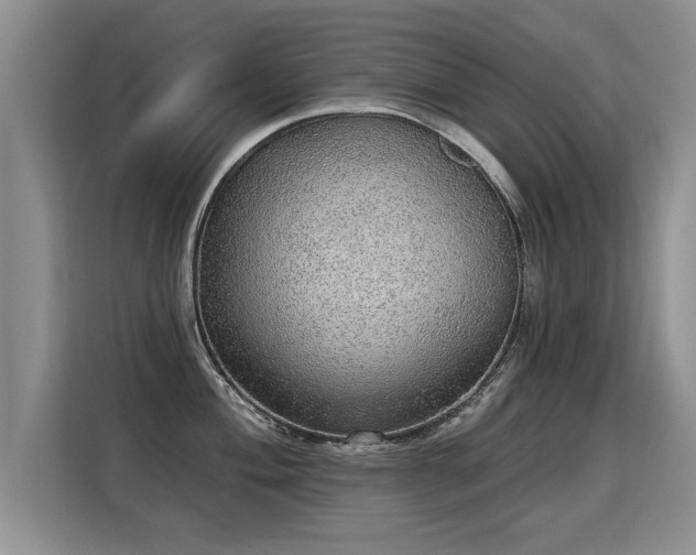 X0000115361004200911101152