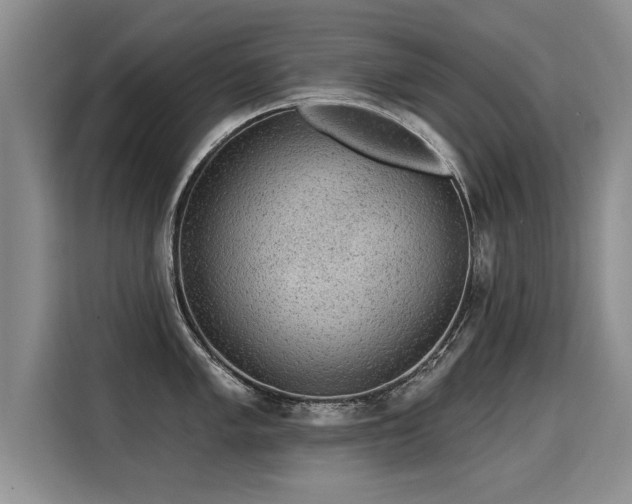 X0000115361005200911101152