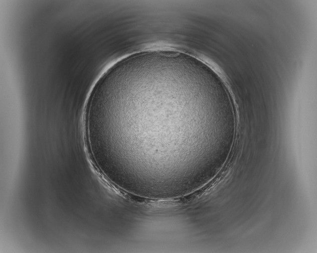 X0000115361008200911101152