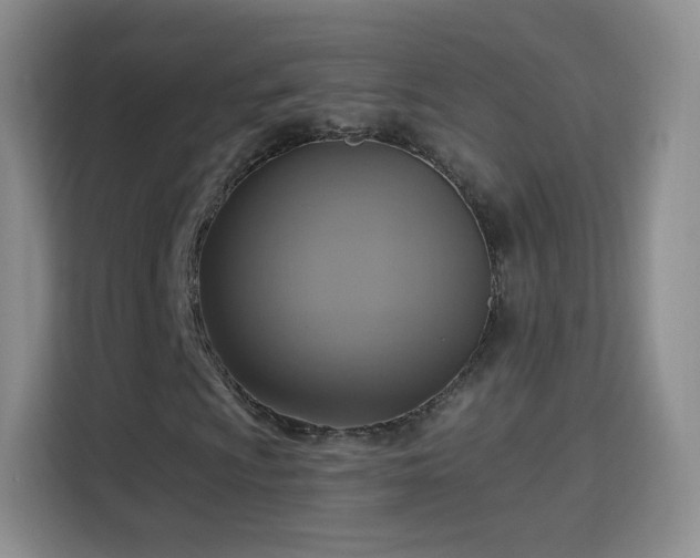 X0000115361009200911101152